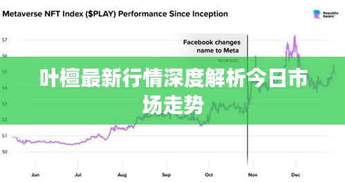 叶檀最新行情深度解析今日市场走势