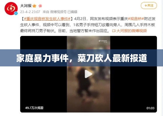 家庭暴力事件，菜刀砍人最新报道