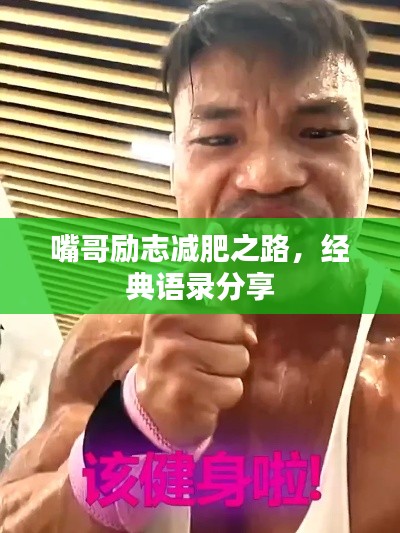 嘴哥励志减肥之路，经典语录分享