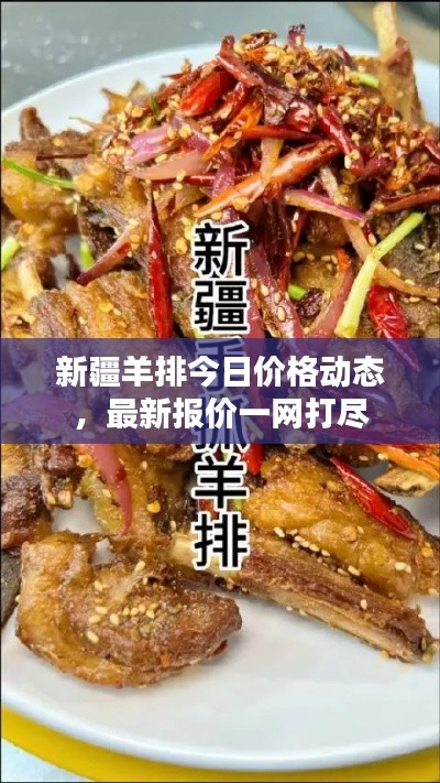 新疆羊排今日价格动态，最新报价一网打尽