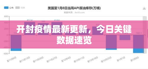 开封疫情最新更新，今日关键数据速览