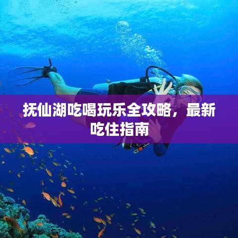 抚仙湖吃喝玩乐全攻略，最新吃住指南