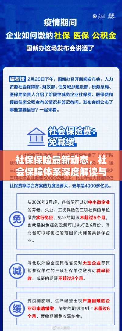 社保保险最新动态，社会保障体系深度解读与热点新闻头条速递