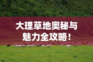 大理草地奥秘与魅力全攻略！