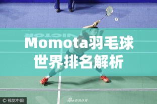Momota羽毛球世界排名解析