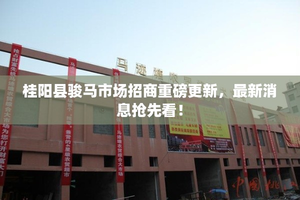 桂阳县骏马市场招商重磅更新，最新消息抢先看！