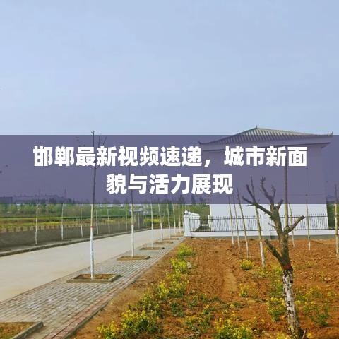 邯郸最新视频速递，城市新面貌与活力展现