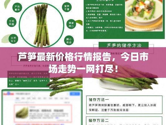 芦笋最新价格行情报告，今日市场走势一网打尽！
