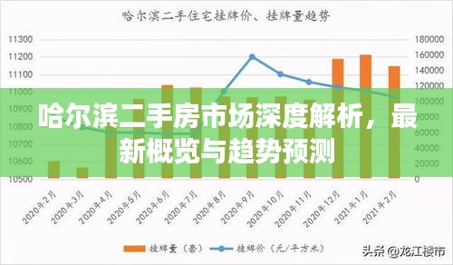 哈尔滨二手房市场深度解析，最新概览与趋势预测