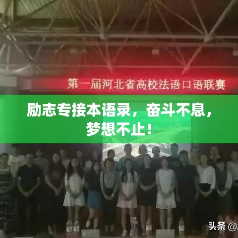 励志专接本语录，奋斗不息，梦想不止！
