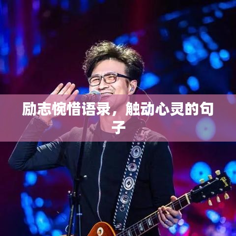 励志惋惜语录，触动心灵的句子