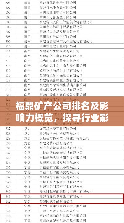 福鼎矿产公司排名及影响力概览，探寻行业影响力与地位