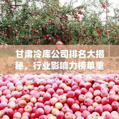 甘肃冷库公司排名大揭秘，行业影响力榜单重磅出炉！