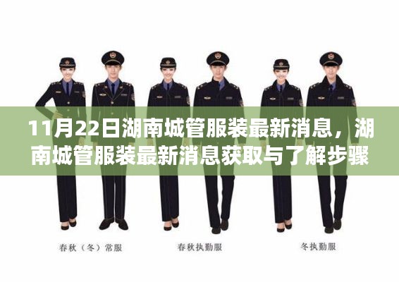 湖南城管服装最新消息获取指南，从入门到进阶的全方位了解