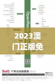 2023澳门正版免费精准资料,数据引导设计方法_交互版TWH5.32