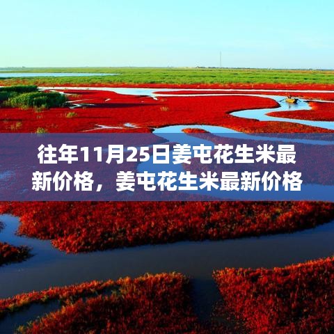 容光焕发 第33页
