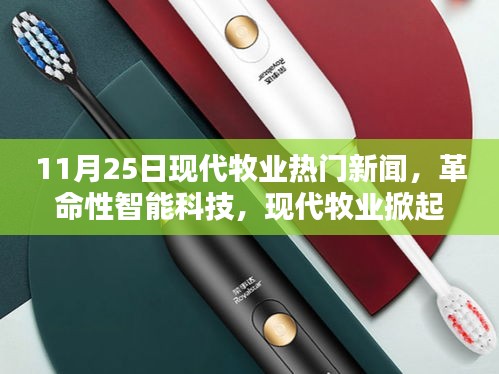 神采奕奕 第34页