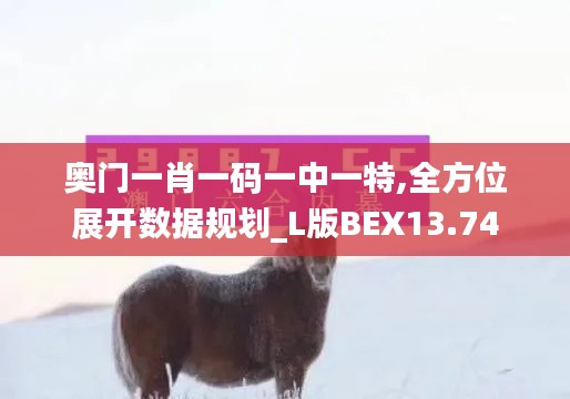奥门一肖一码一中一特,全方位展开数据规划_L版BEX13.74