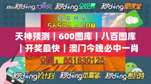 电视机 第494页