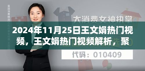 王文娟热门视频解析，聚焦要点探讨（最新2024年11月25日版）