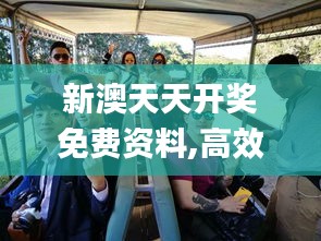 鸡飞狗跳 第4页