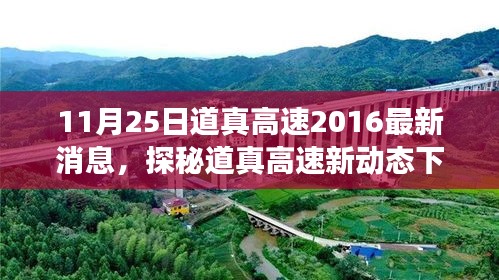 神采奕奕 第32页
