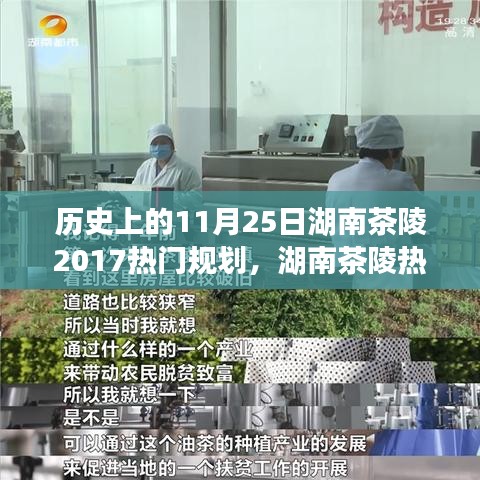 文质彬彬 第31页