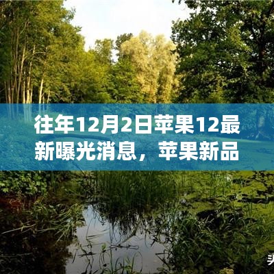 风驰电掣 第25页