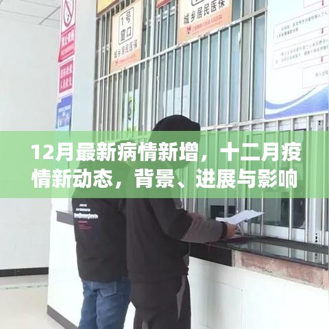 十二月最新疫情动态，背景、进展与影响全面解析