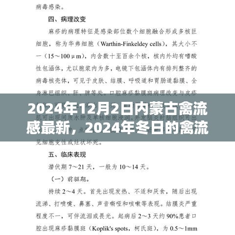 花开无言 第22页