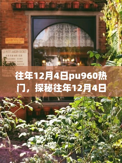 探秘往年12月4日PU960的秘密花园，小巷中的独特风味之旅