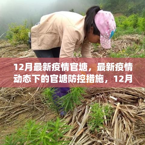 橘虞初梦 第26页