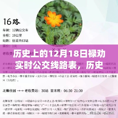 容光焕发 第17页