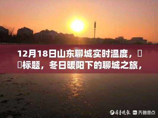 花开无言 第13页