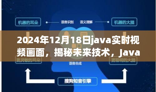 目不转睛 第14页