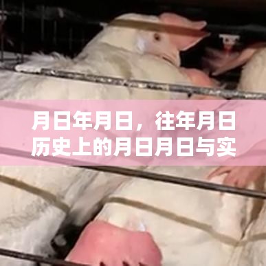 走马观花 第14页