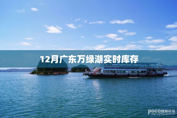 虎视眈眈 第12页