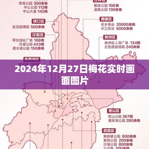 星星打烊 第11页