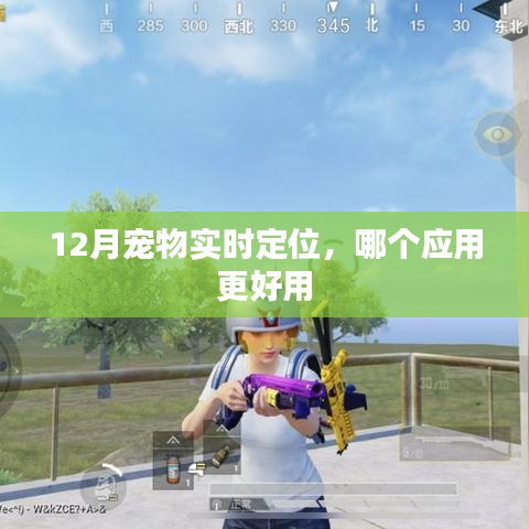 宠物实时定位应用推荐，12月最佳宠物追踪软件