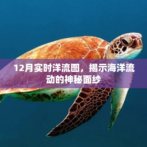 悠然自得 第9页