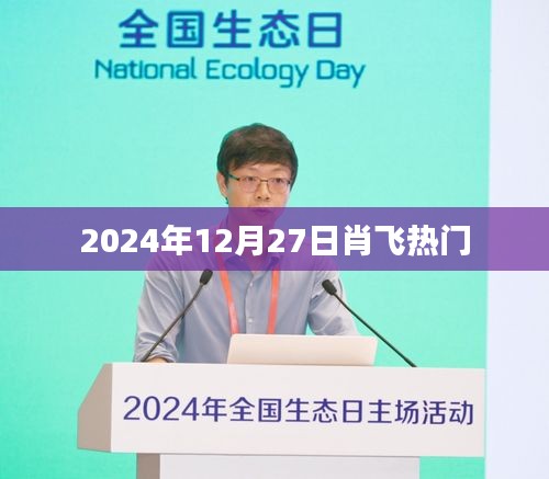 肖飞最新动态，揭秘肖飞在2024年12月27日的热门事件