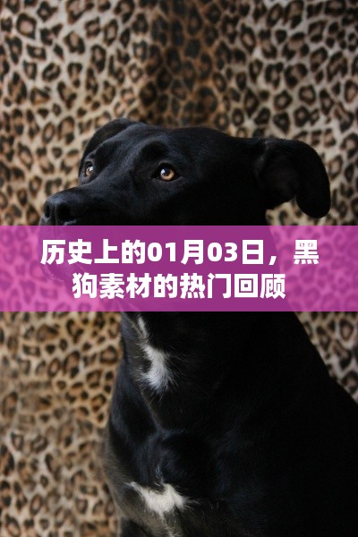 森久 第8页