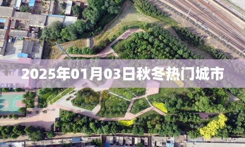 走马观花 第5页