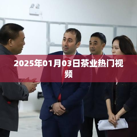 目不转睛 第4页
