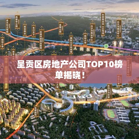 开张圣听 第3页