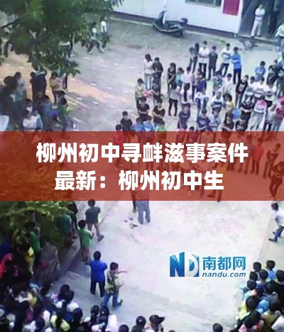 柳州初中寻衅滋事案件最新：柳州初中生 