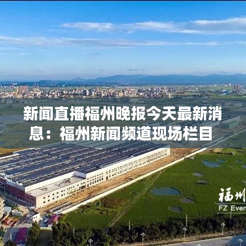 鸟之将死 第4页