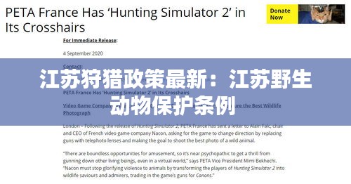 衣不完采 第3页