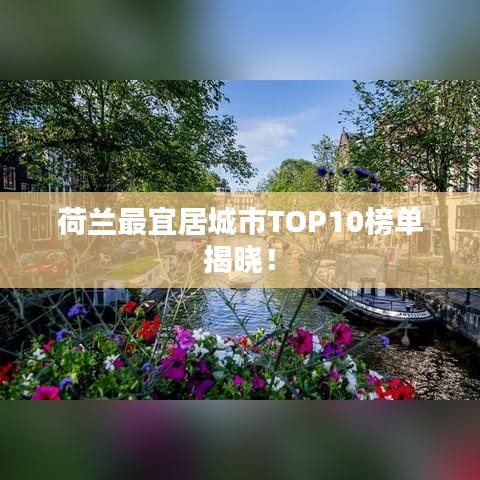 越鸟南栖 第3页
