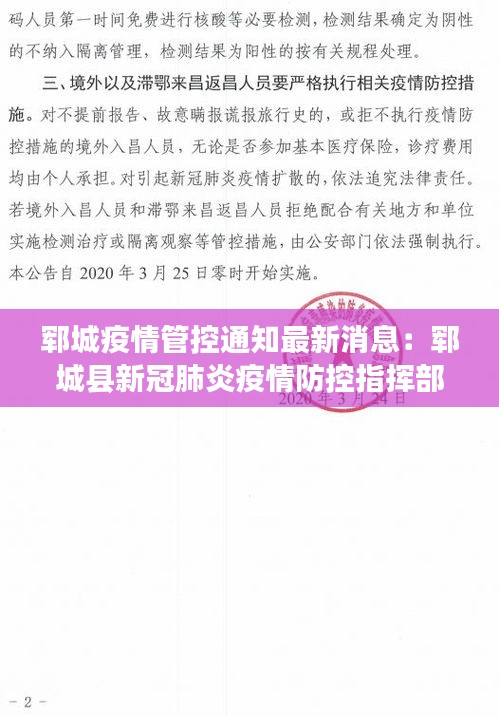 夯雀儿先飞 第3页